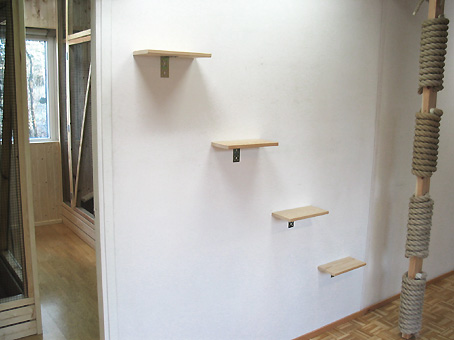 Kissahotellin asukas 3