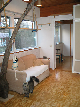 Kissahotellin asukas 4