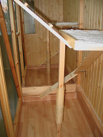 Kissahotellin asukas 6