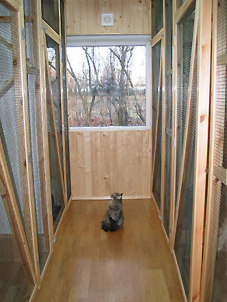 Kissahotellin asukas 7