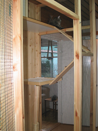 Kissahotellin asukas 9